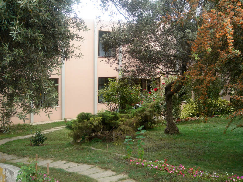 DSC00478