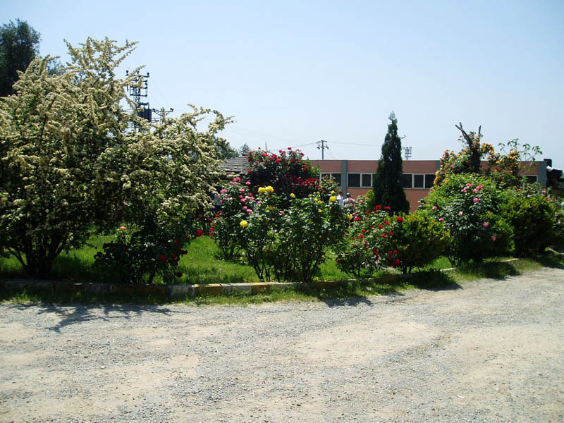 P1010169