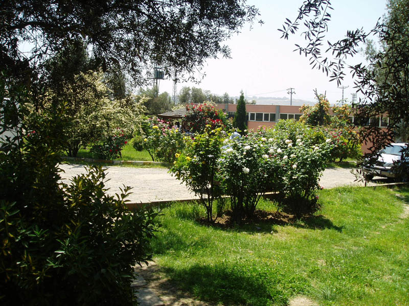 P1010171