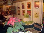 DSC00764