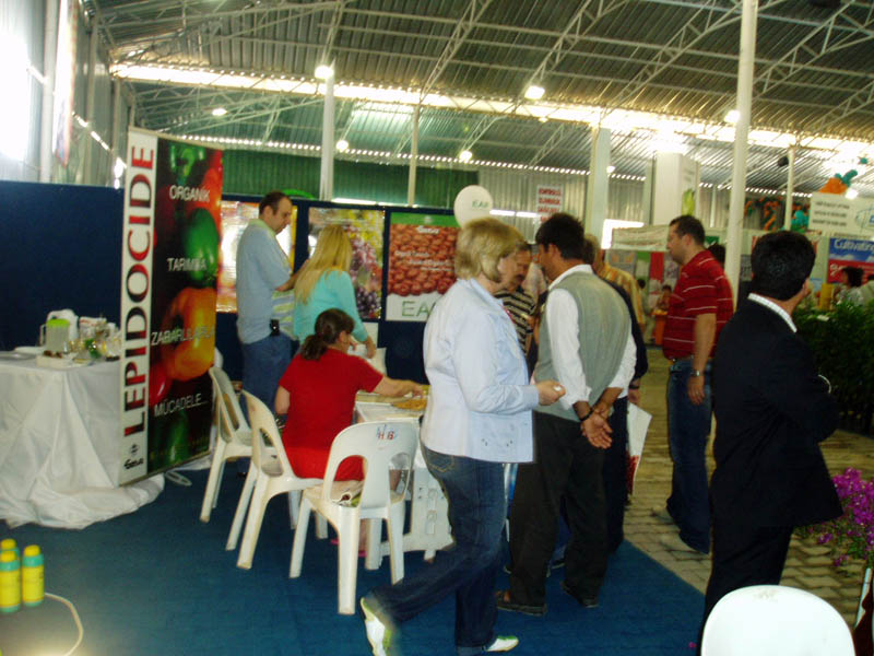 P1010161