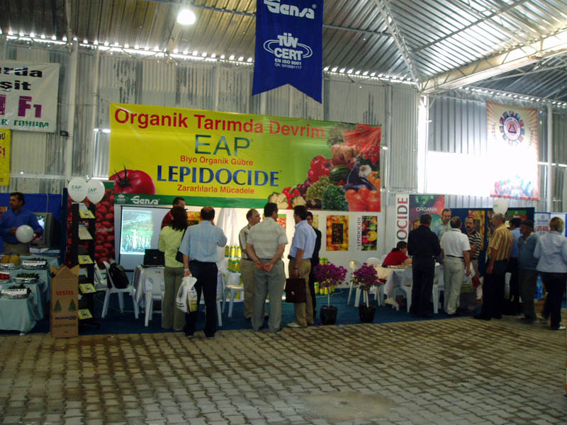 P1010163